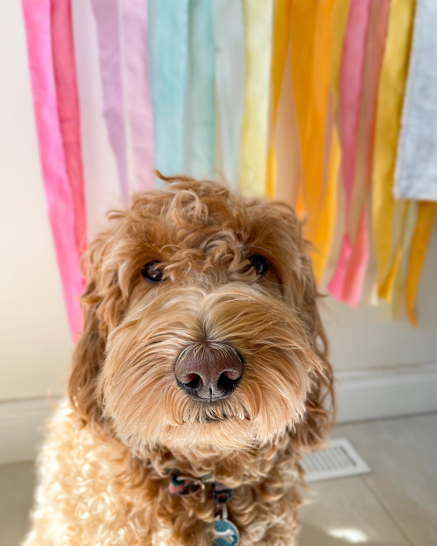 How to Restore Faux Sherpa Fleece Boo! It's bloo!