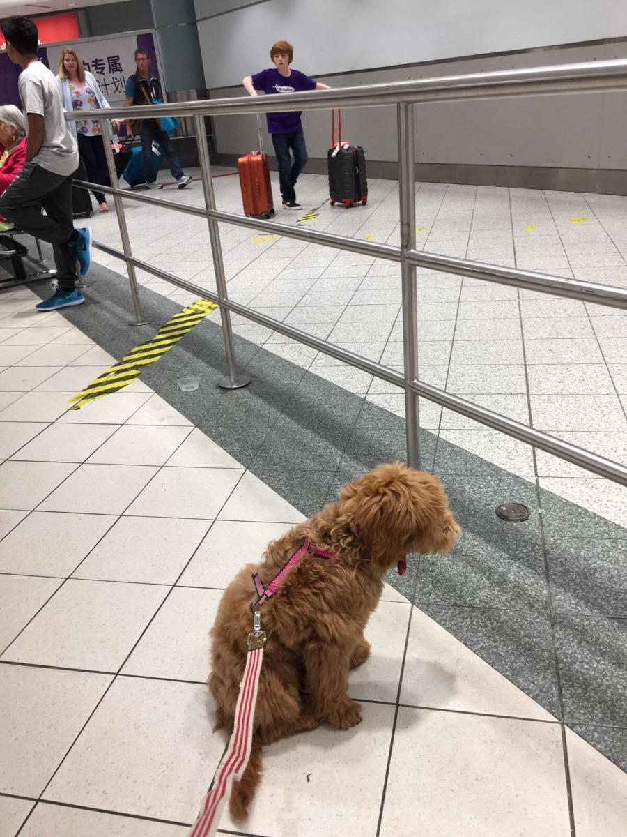 Bloo at arrivals waiting for me!